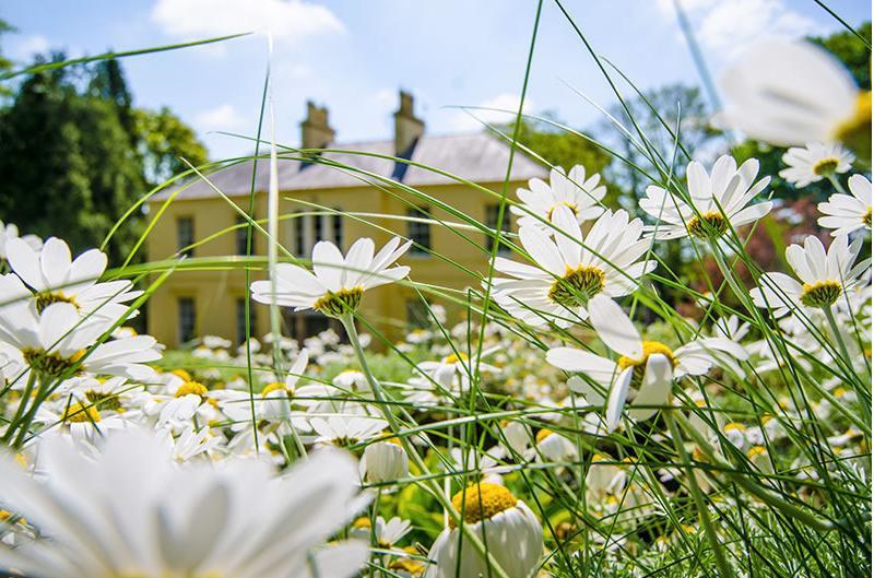 Nutgrove House Luxury B&B Seaforde Exterior photo